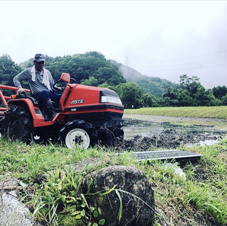 studio884_'s tweet photo. キアラさんが田植えの準備段階「代かき」のお手伝いをしてくれました!
慣れない作業に苦戦しつつも頑張ってくれました!
#NewYorker #ニューヨーカー #放送芸術学院専門学校 #映画ドラマコース #田植え #農業プロジェクト #奥河内 #河内長野 #国際交流 #bosr #studio884 #フォロー返します #代かき https://t.co/peJ3dfO6C1