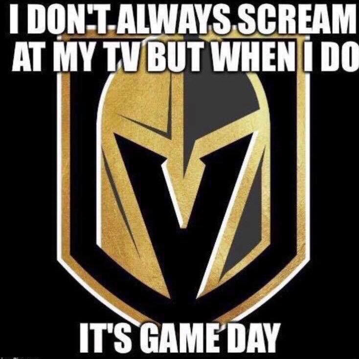 TobyJMorris's tweet photo. You cheering extra loud for me hockey sis, @StephMaddocks! Screaming loud here and cheering for our amazing @GoldenKnights! #StanleyCupFinal #CupIn1 #nocaps https://t.co/8Aw4htwoBm