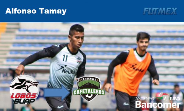 FUTMEX_'s tweet photo. Alfonso Tamay llega a Cafetaleros de Tapachula, proveniente de Lobos BUAP. Su carta pertenece a Tigres.
#Draft2018 #RAFM2018 https://t.co/4jOOBeGhlN