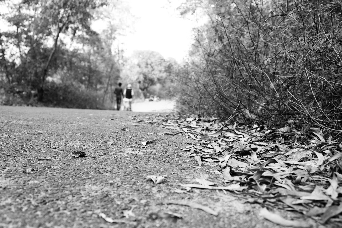 @odiakhati @strytellrofpast @srrashmi1 @saipjena @Odiapuo @de_moaned @akala_kushmanda @Tweet_Sanjib @dieaddicted From my side
#walking #road #path #travel #dryleaves #leftbehind