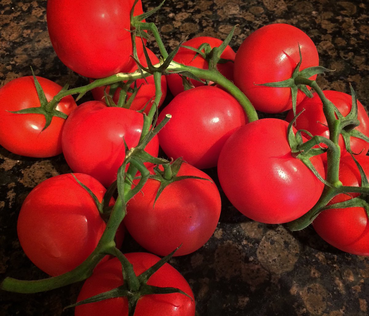 Spoilt For Choice tweet media