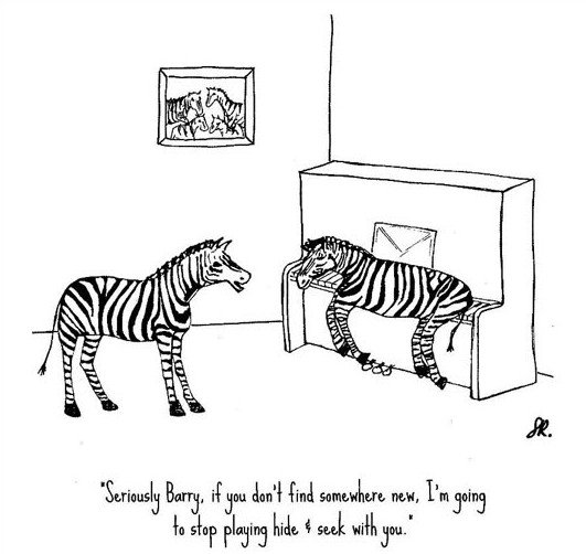 faringdonpianos's tweet photo. ⭐ It's #FunFriday! ⭐
Hope everyone has a great weekend!
🎹 Do you have any musical plans this weekend? Let us know! 🎹
#PianoGallery #Faringdon #FunnyFriday #BarryTheZebra https://t.co/SgZShPnZi2