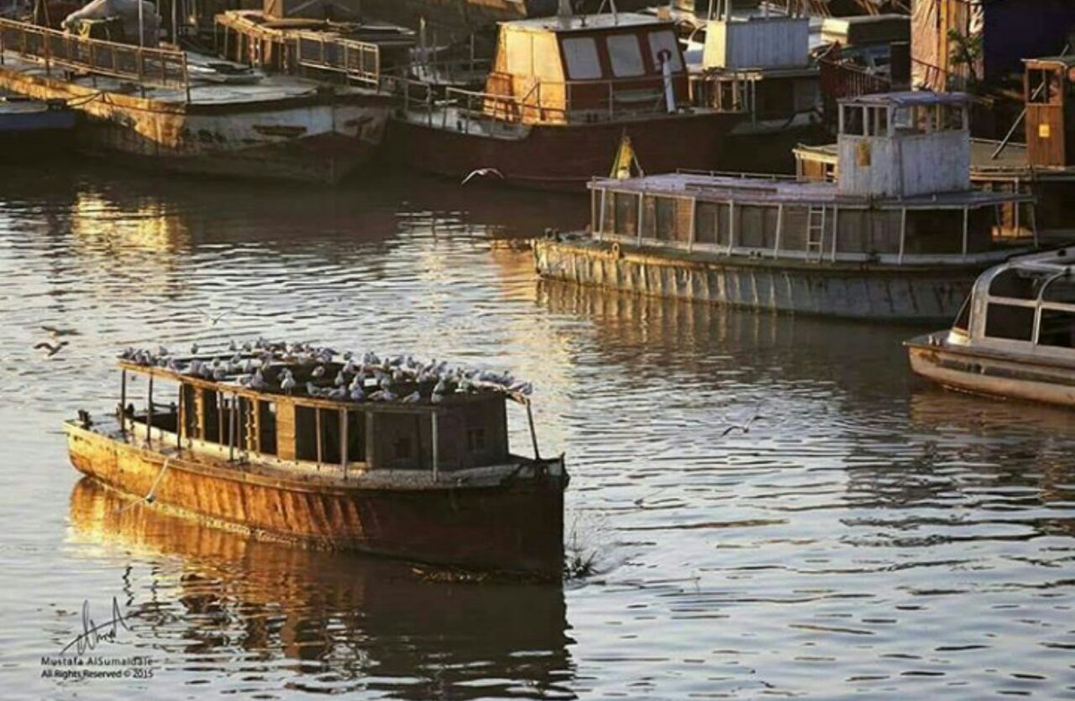 أمثالكم🌸 لهم ✨في النفس 🌼إحتراماً
وفي القلب💞 إجلالاً
وفي🌷 الوجود 🌝تميزاً
وفي العين تقديراً
أسأل الله ⁦☀️⁩العليّ 💐القدير🌙 أن يحفظكم 🌜ويرعاكم ويديم عليكم 🌛الصحة 🌟والعافية طول 💐العمر.
" اللهم⭐ آمين"
صباحكم نور 🌷 من 🌼 انوار 🌷النبي 💮🌸💮