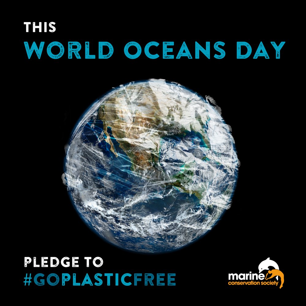 mcsuk's tweet photo. Happy #WorldOceansDay! 🌊🌍

Let's celebrate by trying to reduce the amount of plastic that gets into our seas. Pledge to #GOPlasticFree this July and join our Plastic Challenge! https://t.co/MqVBHbDkCr https://t.co/4dKHEG1LJX