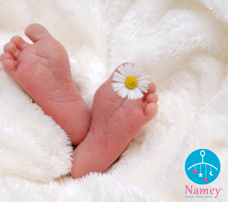 NameyApp's tweet photo. #Namey has reached 20,000 app downloads worldwide! 20,000 parents are using #Namey to find baby name inspiration using artificial intelligence and smart algorithmic matching to find the name of their dreams. Download Namey here >> https://t.co/lcoCaQrRuW https://t.co/MO60Zu0bmc