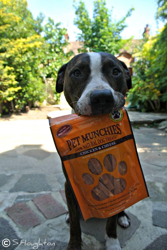 PetMunchies's tweet photo. #win #giveaway of #PetMunchies #natural #dog  #pet #treats  #glutenfree  #dogtreats  #dogs #competition #dogsoftwitter #chicken #cheese follow &amp; RT 2 enter ends 9 June https://t.co/RwGoaF4xLE