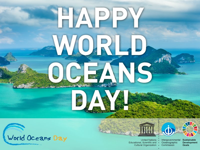 Happy #WorldOceansDay🌊! Let’s keep our #ocean clean and safe and remember that our actions always have an impact! Learn more about this special day on unworldoceansday.org