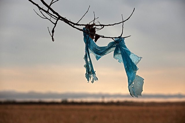 chatuchakbkk's tweet photo. Our latest post is up! The Plastic Problem in Thailand. Click Here to read: https://t.co/l8ImSQSjvZ Picture Credit: Györgyi Gáti- Flickr https://t.co/iK9Ily6ZgO
