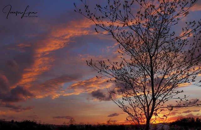 Reposting @jennifer.lynn.photography: - via @Crowdfire 
Sunsets and silhouettes ☄❤ #ipulledoverforthis #ig_skyvibes #iloveny #insta_themedshots_116 #igersusa #pixelsunlimited #uspixels #fivestars_sunsets #sky_marvels #sky_brilliance #global_creatives #nature_skyshotz