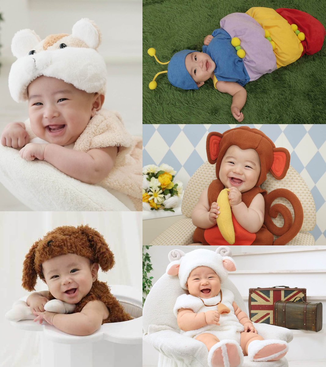 スタジオアリス Auf Twitter わが子に 着ぐるみ を着せて写真を撮りたいとお考え中のみなさま いろんな生き物に変身できちゃうアリスの着ぐるみ ぜひ見てください ﾉwﾉ 着ぐるみカーニバル 開催中です T Co Ozev98xxnq T Co Ow6blyofhr