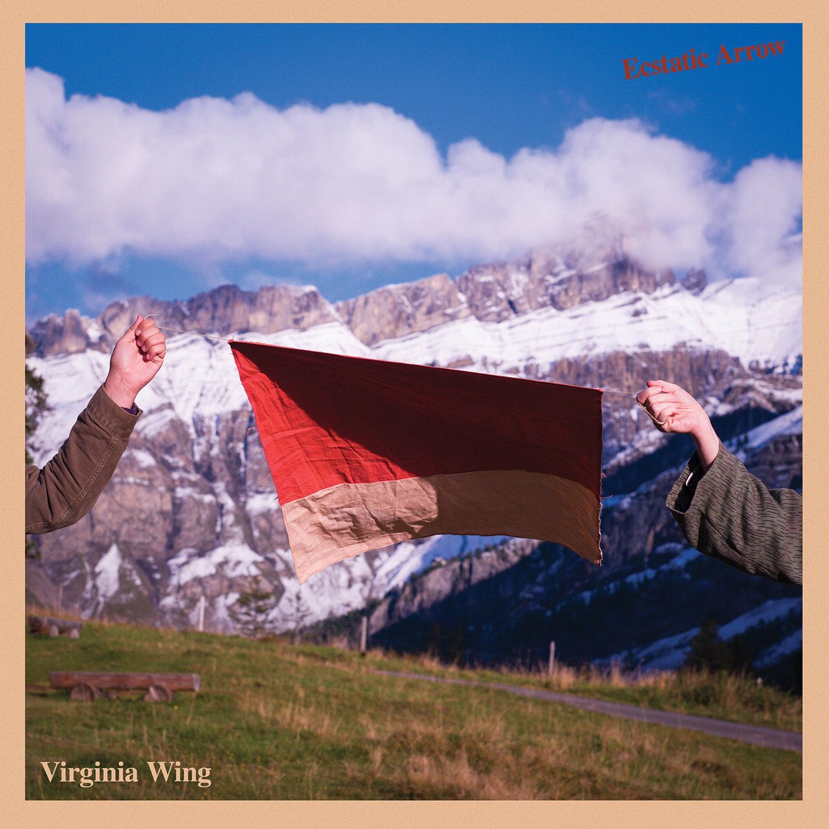 HOOKWORMS's tweet photo. Hey everyone, Ecstatic Arrow by Virginia Wing is out today, and is probably the AOTY. If I could recommend you do one thing this week it would be to purchase or at the very least listen to said beautiful record 🏹🏹🏹 https://t.co/FSRz3gawuY