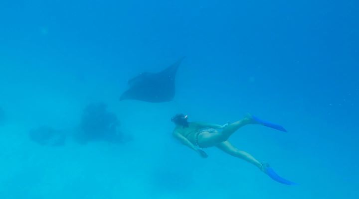 Swimming with the birds of the sea #tahitidiving ift.tt/21dngc4