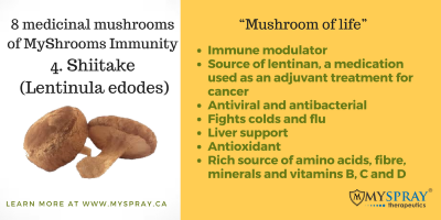 MySpray's tweet photo. Four of eight of the medicinal mushrooms in MyShrooms Immunity. https://t.co/pa3gxCZSoG https://t.co/iSVhokU1ID #myshrooms #mushrooms #myspray #Immunity #Cancer #Shiitake https://t.co/rhnFVZhQ73