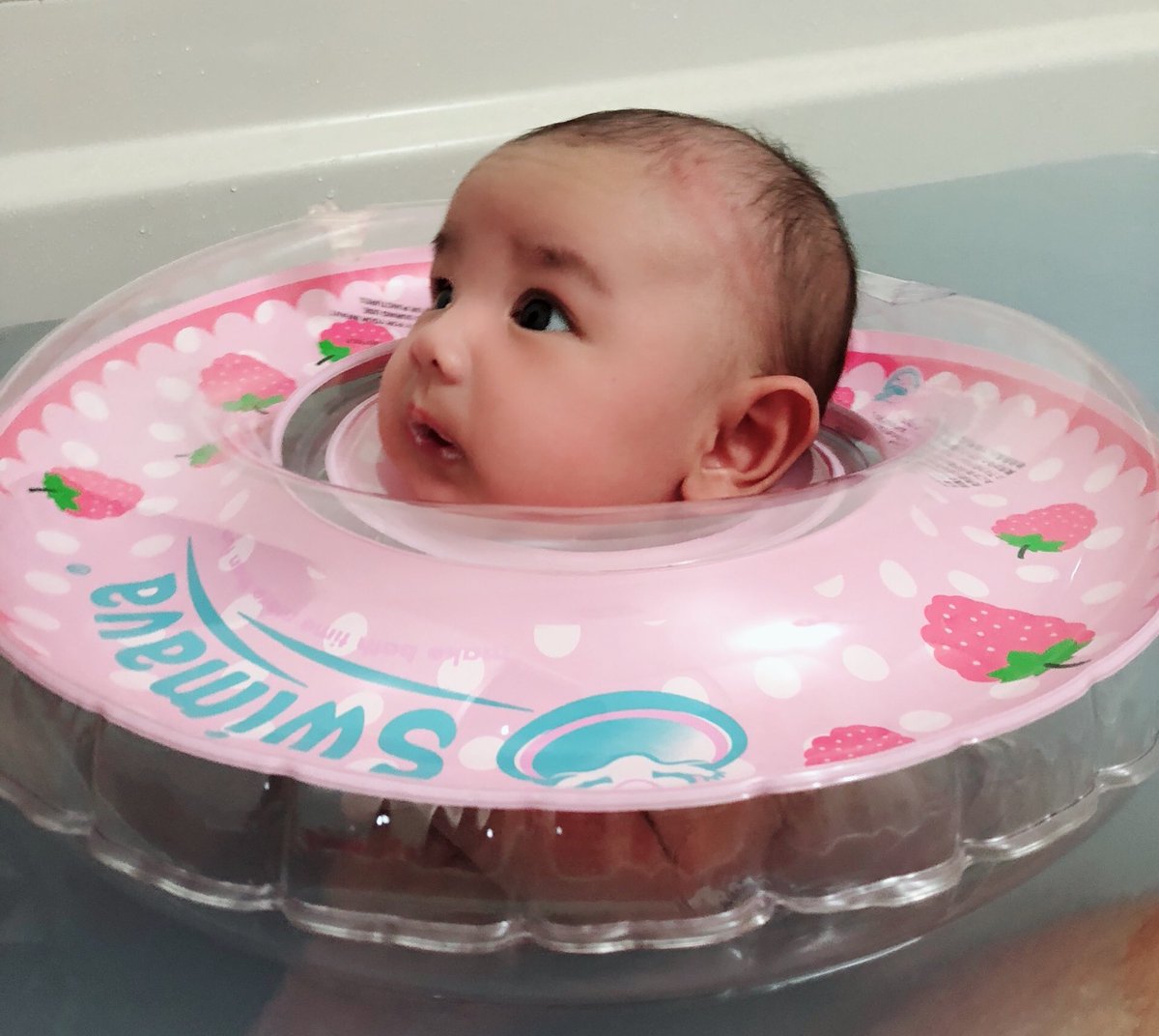 よしだあおい tweet media