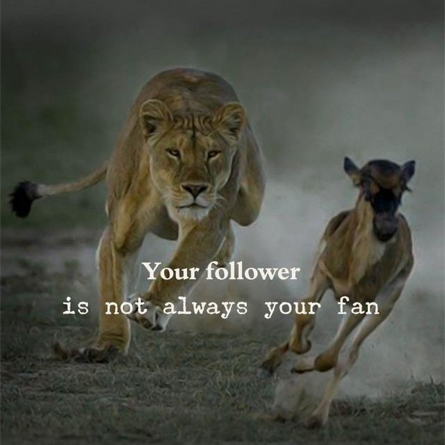 Khijir (@khijirr) on Twitter photo 
