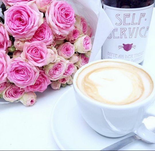 Ydallifestyle's tweet photo. It's a brand new day.!.🌸☕❤
#bloombaby #happy #positive #flowers #business https://t.co/nxCPHOV8xr