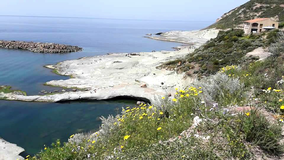 CristinaShonny's tweet photo. #Sardegna.
#CaneMalu #Bosa.
Buona giornata a tt. https://t.co/IlrmoaSC8f
