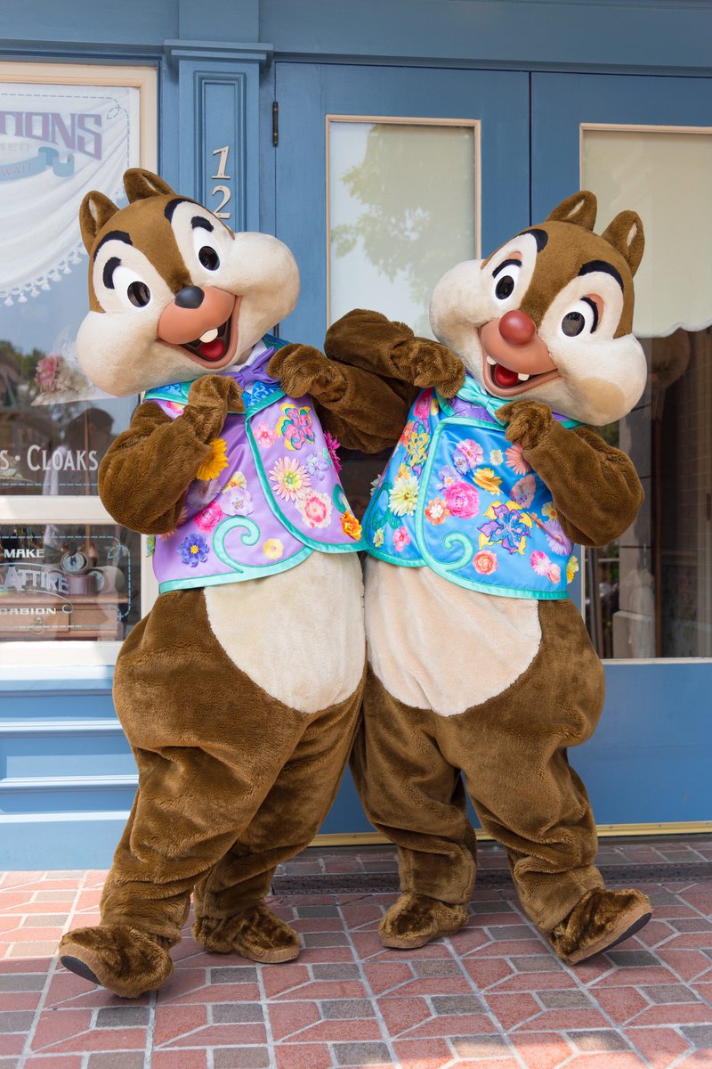 TTM_mickey's tweet photo. 可愛い😂 https://t.co/Zp3hUeeqQd