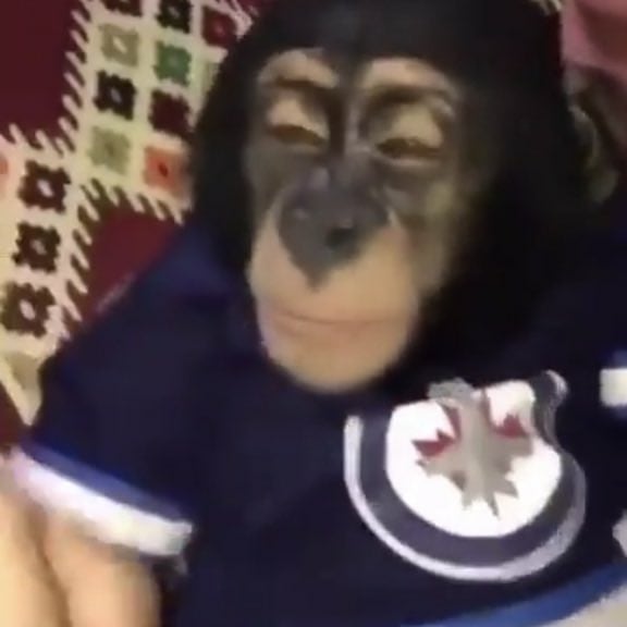 yungogyar's tweet photo. Mood: https://t.co/gj83nIZzob