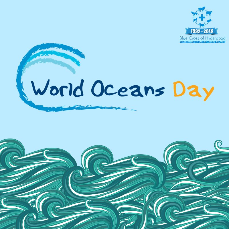 Blue Cross Hyderabad (bluecrosshyd) Twitter