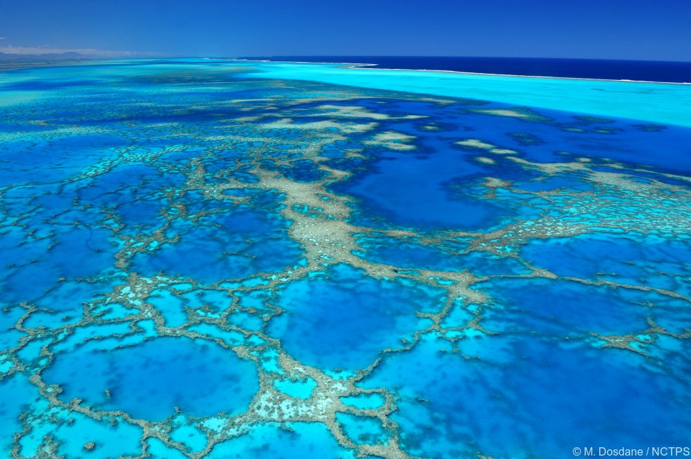 Nouvl_Caledonie's tweet image. C'est la #journée mondiale des #océans ! Venez découvrir ce que le #Pacifique vous réserve...  💎
#NouvelleCaledonie #Lagon #WorldOceanDay