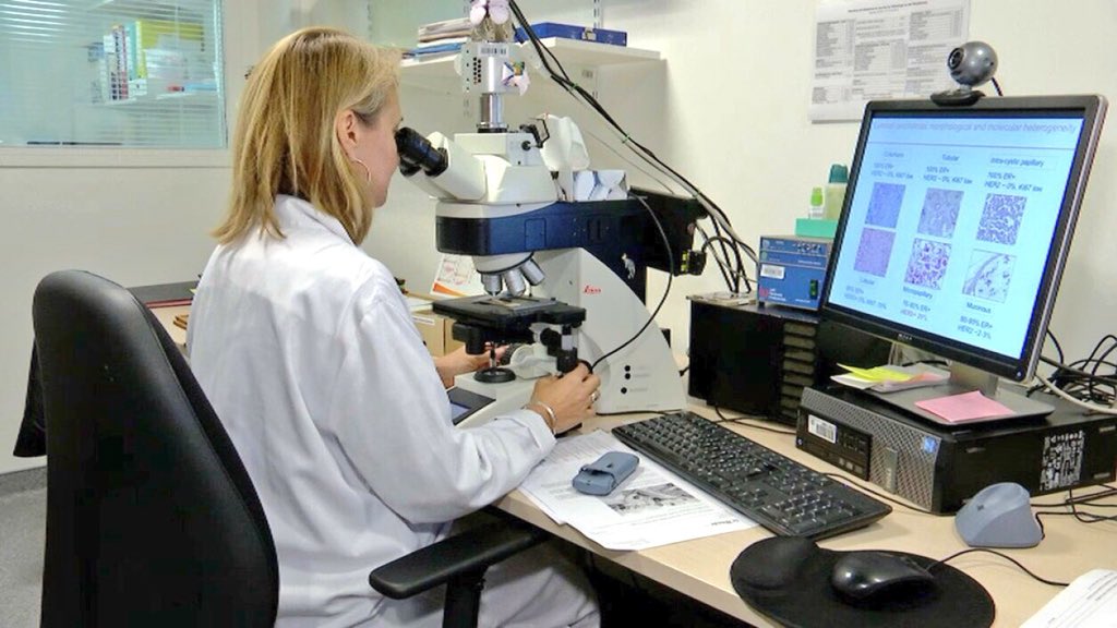 Teknosciences's tweet photo. Avancée majeure : un cancer du sein à un stade avancé complètement guéri grâce à l’immunothérapie, alors que la chimiothérapie était impuissante
https://t.co/yD55qP1Fzb https://t.co/mnAfzGcSAF