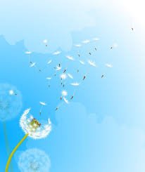 IProduccio's tweet image. #Terra #aigua #foc #aire La #producció ha de ser respectuosa amb la #Natura.