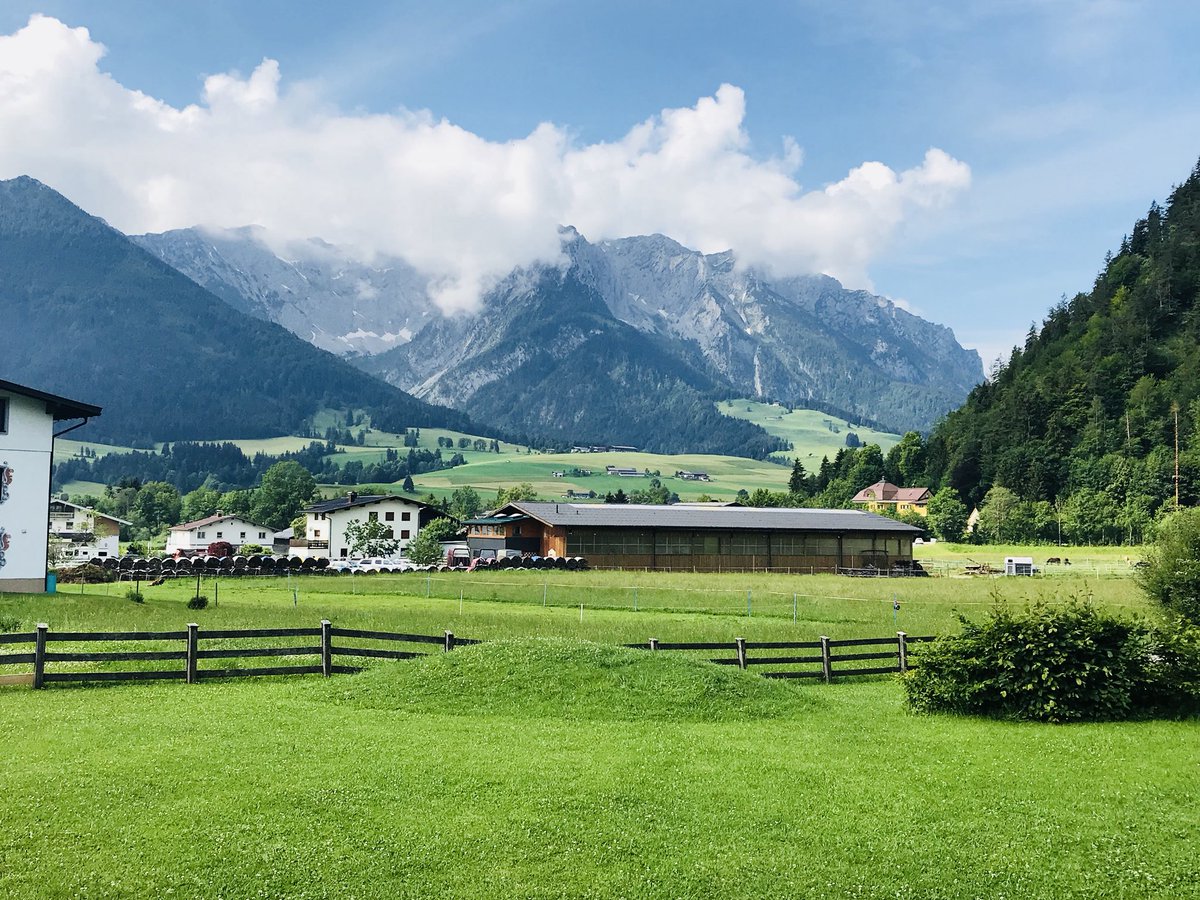 Fred Weintraub tweet media