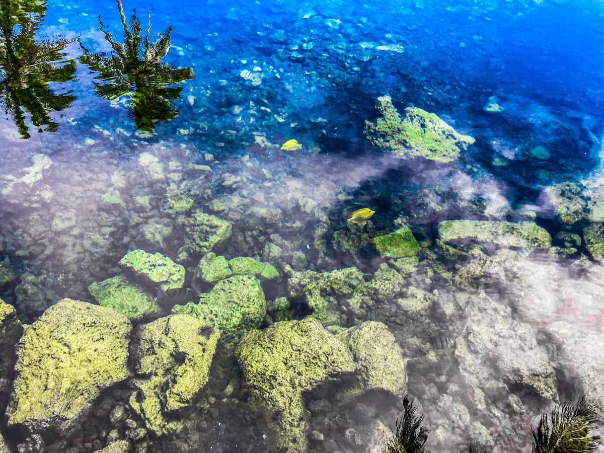 VictoriaPendry1's tweet image. Happy @WorldOceansDay everybody! So pleased to be working with @globalactplan @WaterExplorers this term to help schools and their communities better understand global water issues #GlobalWarming #TeachSDGs #plasticpollution