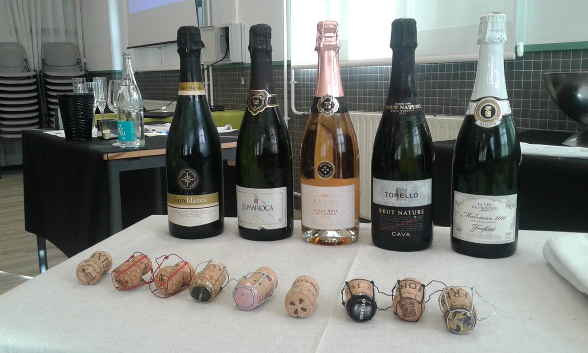 aecava's tweet photo. Este junio hemos organizado otro #SeminariodeCava en el Instituto Sanxillao de Lugo con @EmbajadoraM. ¡Un placer difundir la cultura del #Cava con gente tan entusiasta! #Cavalovers https://t.co/fYxHH2TvHE