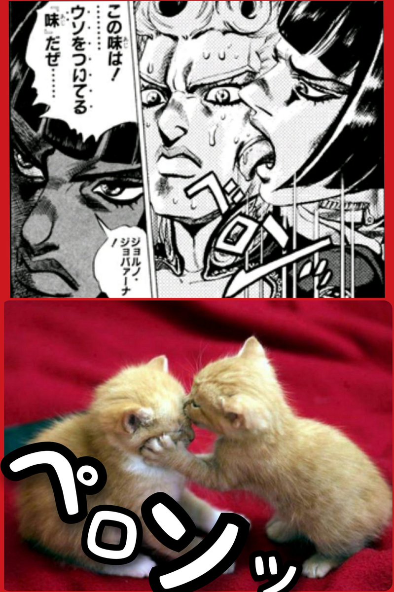 たい焼きやいた Tamaki בטוויטר ボケて ジョジョの奇妙な冒険 ブローノ ブチャラティ さん 猫 さん 答えろよ 質問はスデニ拷問に 変わっているんだぜ