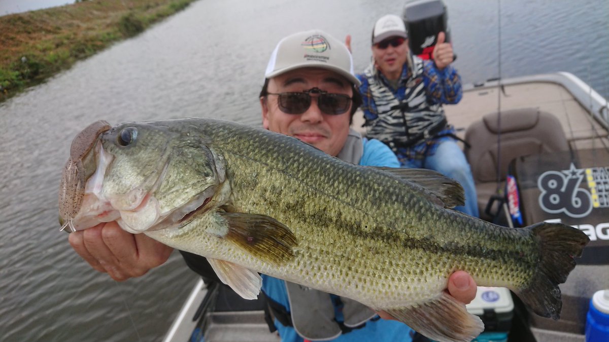 最大61%オフ! ノリーズ エスケープツイン等 巧漬け 2020 5月 田辺