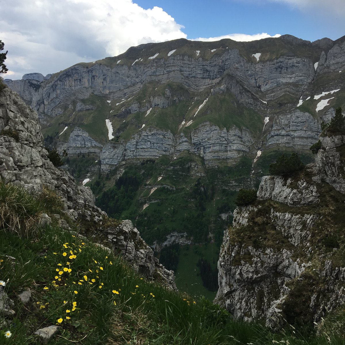 Quincy Martin tweet media