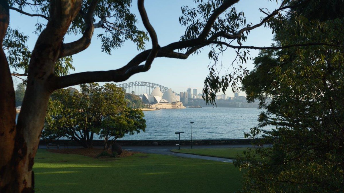 JohnKugel's tweet photo. This is what our monthly #NetworkingInNature events look like... join us sometime in the Royal Botanic Gardens, Sydney. Subscribe on this link for more details: https://t.co/ajMM1nBv39 https://t.co/kMkPMdUeRZ