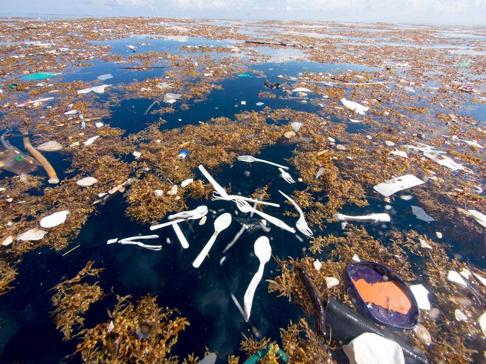 JamesWakibia's tweet photo. Study says that By 2050, there will be more plastic than fish in the world’s oceans,what are you doing about it? photos by Caroline power #WorldOceansDay2018 #RethinkPlastics https://t.co/UA0lUisSTi