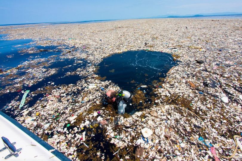 JamesWakibia's tweet photo. Study says that By 2050, there will be more plastic than fish in the world’s oceans,what are you doing about it? photos by Caroline power #WorldOceansDay2018 #RethinkPlastics https://t.co/UA0lUisSTi
