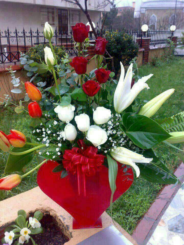 sss50069's tweet photo. هناك َ 
أحدٌ مّا  خلف َ
كُل شيء
يجعلكَ تبتسم
وتمسكُ بطرف ِ
الألوان ..

.
صباح الأمل https://t.co/qR9PZUfaLU