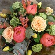 HAPPY FRIDAY TO YOU!!

Our choice of summer flowers for you, click here to see our full range in all it's glory bit.ly/2vpYgW7