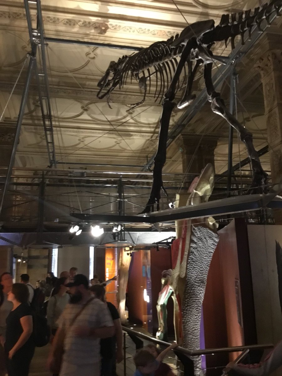 EckingtonJS's tweet photo. We saw Dinosaurs, Diamonds and Darwin...and lots more too #EJSY6 #excitingeventsatEJS https://t.co/aBH1x7stji