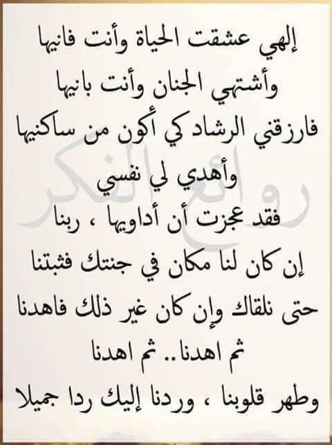 التيجر (@altegar2025) on Twitter photo 