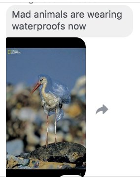 StugLife's tweet image. - Travis Grimmond 1:4 NIV, New Testament