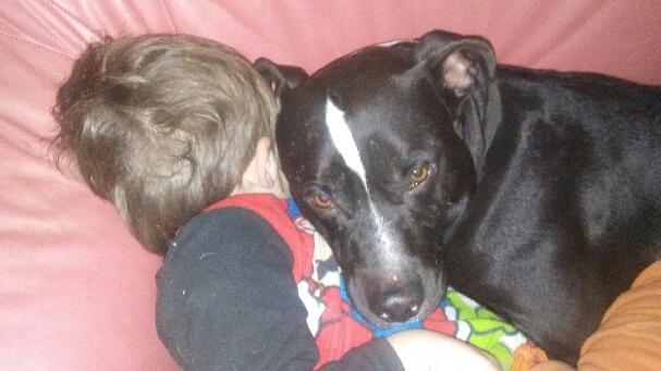 icarus745's tweet photo. Saving kids from being pillows #pittbulldropoff is worse than hitler. https://t.co/osTw20Artp