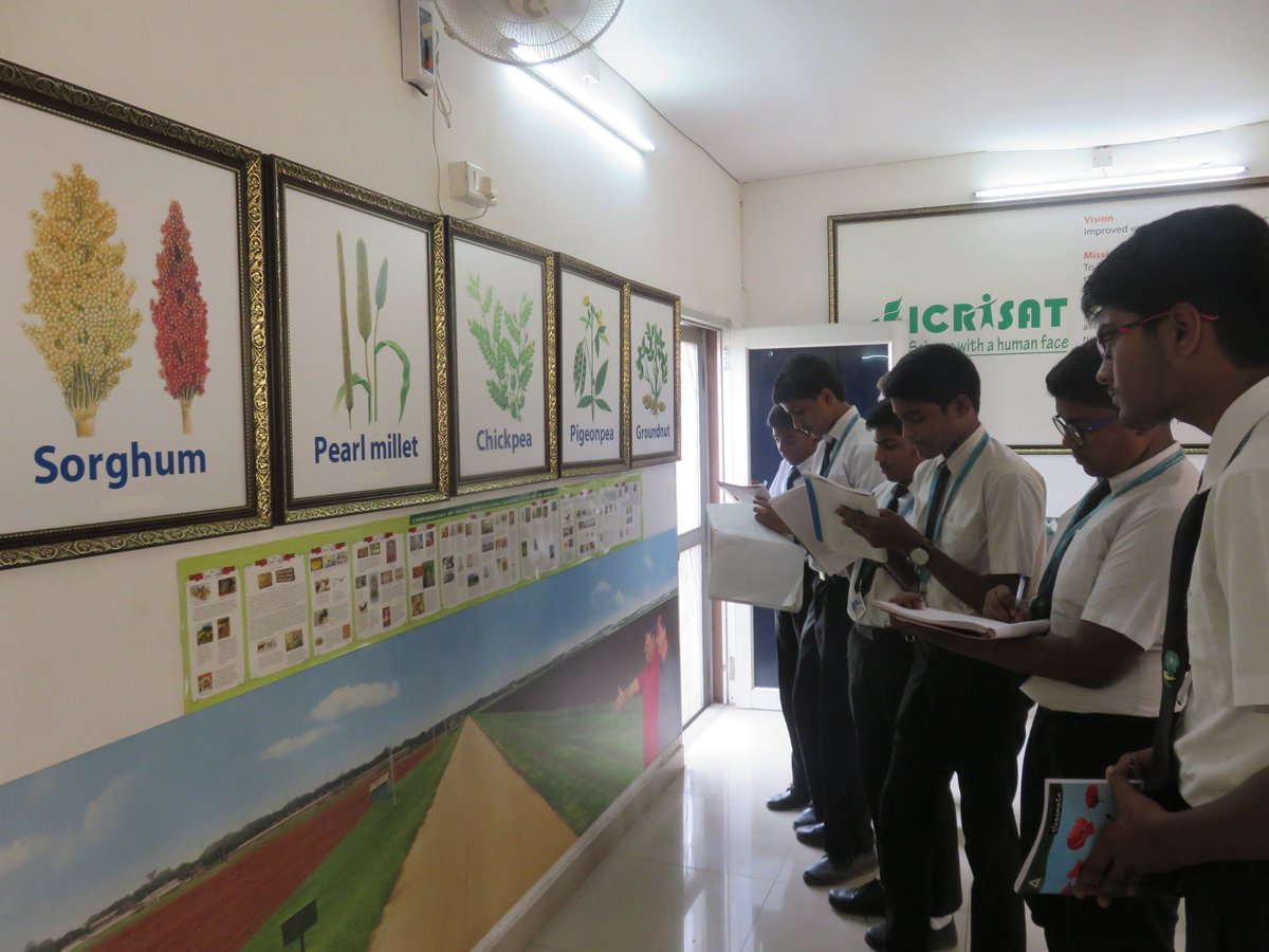 IVidyanikethan's tweet photo. Class X students visited ICRISAT campus and explored had an opportunity to learn about new forms of crops and various methods of Agriculture. https://t.co/VZnkGxlUxC
#svis #sreevidyanikethan #vidyanikethan #ClassXstudents #ICRISAT #hyderabad https://t.co/43z0mwC28G