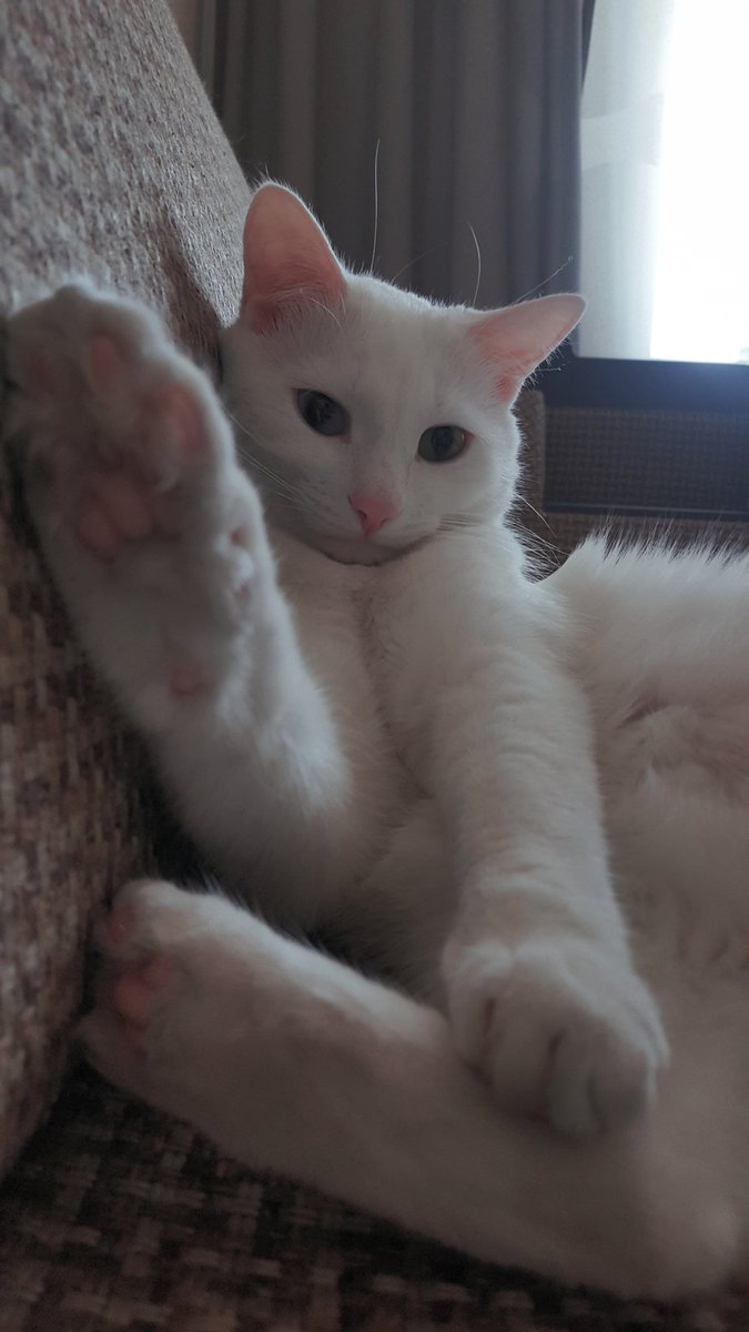 AnnaDriukker's tweet photo. High five! https://t.co/AX5DfZCJbc