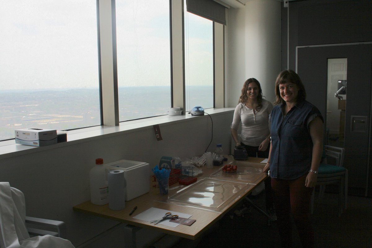 KCLstemcells's tweet photo. @InesSequeira7 @Instoms4 setting up for the first of our #Nativeexplorer events!
@NativeScientis1 @KingsEngages @KingsCollegeLon @KCLBMBioscience
#sciencewithoutborders #stemcells #regenerativemedicine #embryology #outreach https://t.co/NK79JotTRt