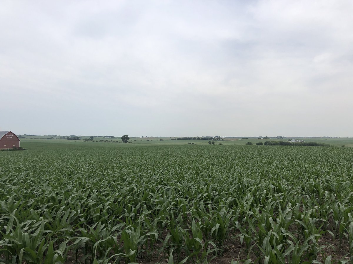 Welton Seed House (weltonseedhouse) Twitter