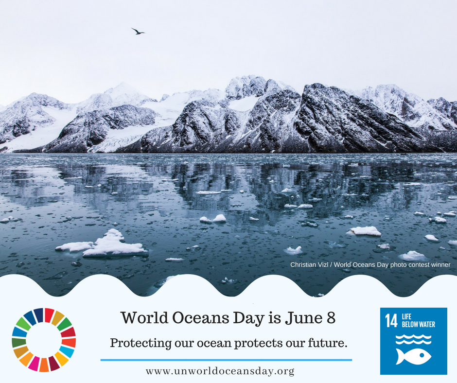 It's #WorldOceansDay! Can you help #SaveOurOcean today? Join a beach cleanup, or commit to using a refillable bottle. 🏝️

See what's going on <a href="/UN/">United Nations</a> today: bit.ly/2JjpCHL
Oceans Day info: unworldoceansday.org 
How are others taking ocean action? oceanactionhub.org