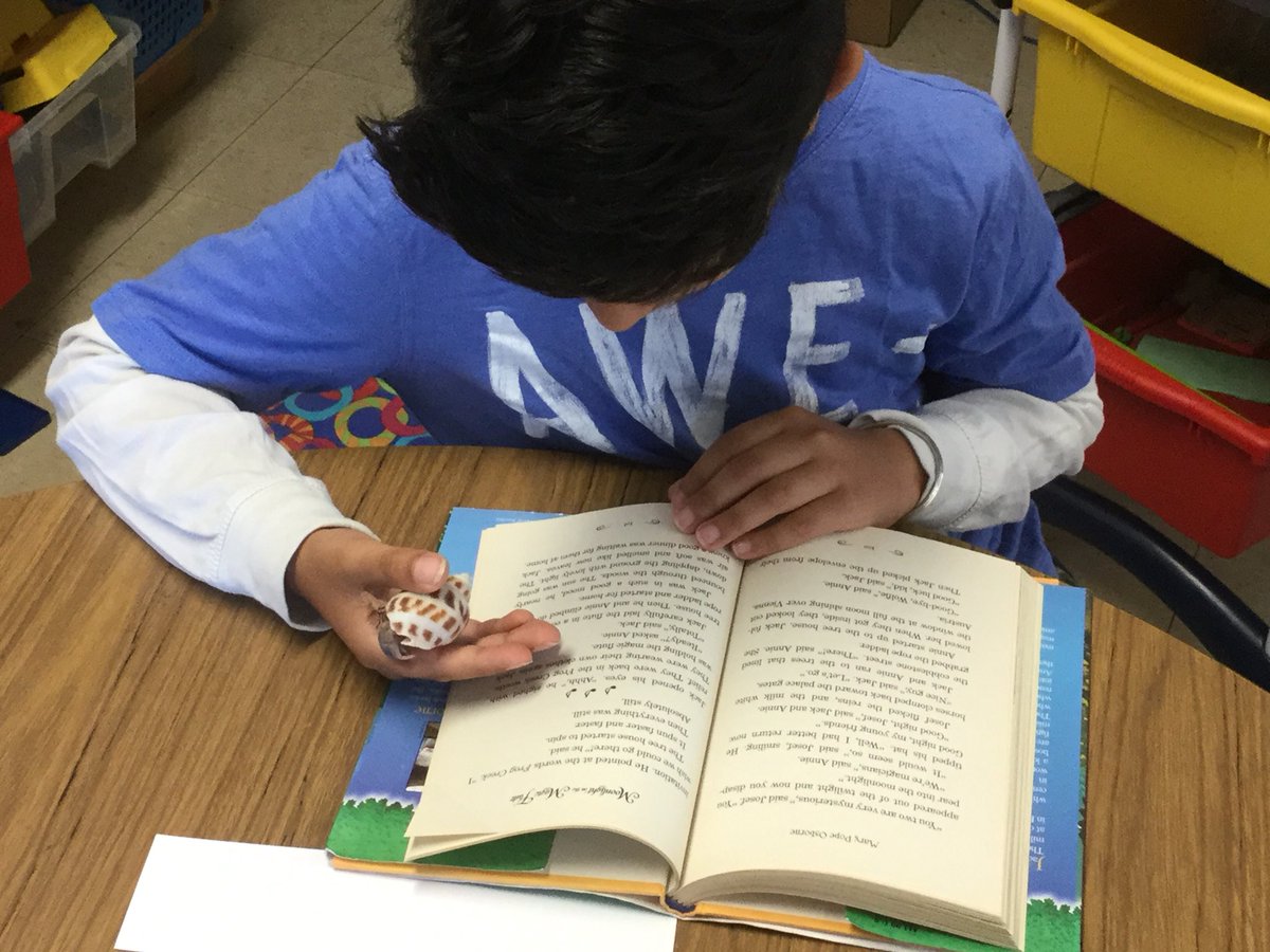 mrscookesclass3's tweet photo. @mrscookesclass3 Our pets love to spend reading time with us, we read to them, they listen to us. Learning truly is a collaborative process @EldoradoPDSB #buildfluency #developempathy https://t.co/wE3sZWfK0z