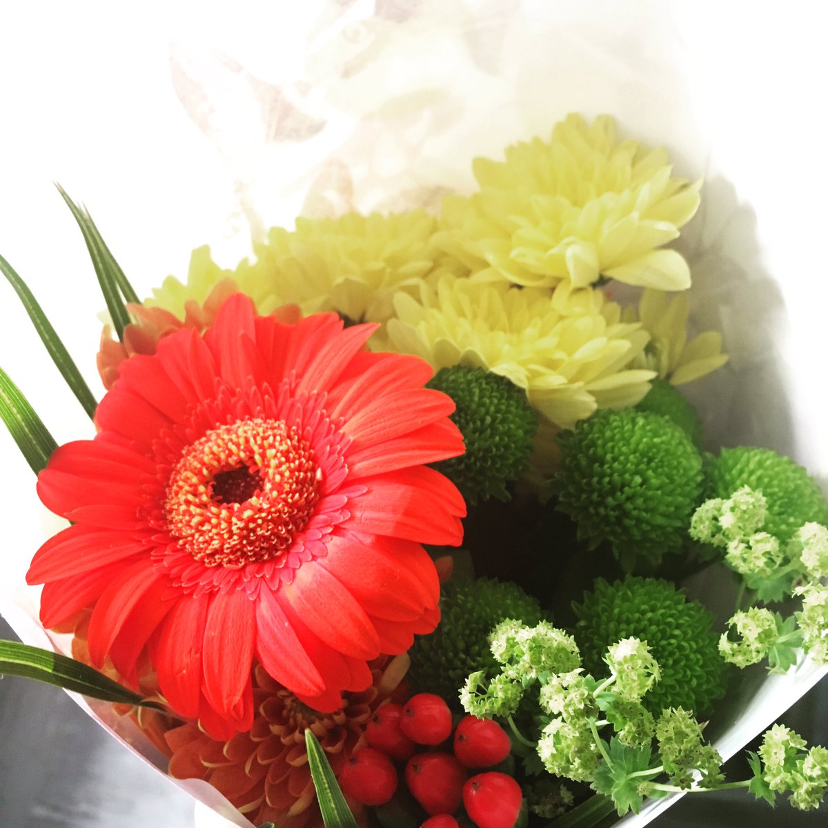 HashmiSal's tweet photo. Patients are lovely! I received these from a lovely lady whose eyes I have been testing for a couple years ☺️🤓 #optometry #thankful #flowers #hashmiyoga https://t.co/07NbJBekhm