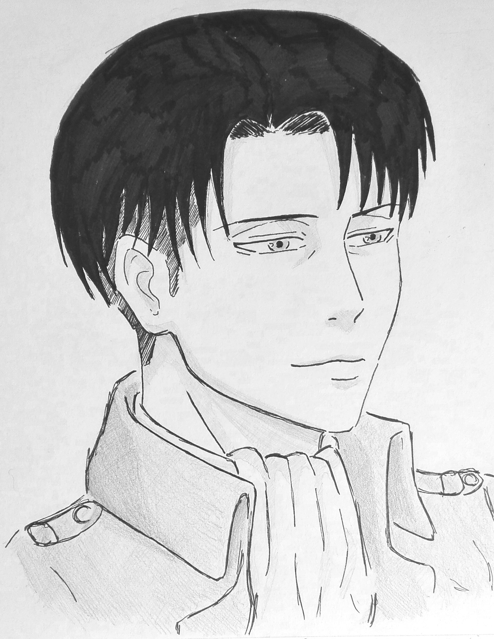 Attack On Titan Bnde 15 Im Isayama Hajime Amazon Com